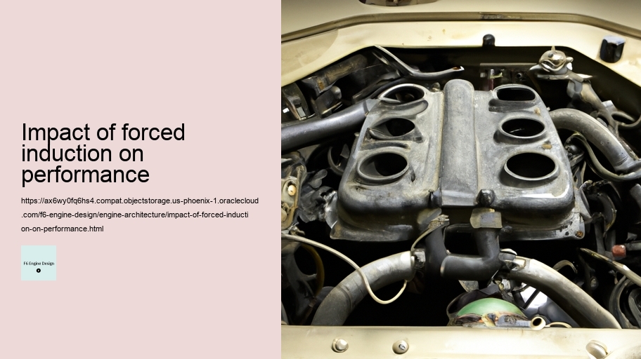 Impact of forced induction on performance